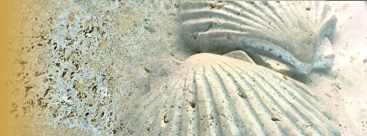 start-freudenreich-3PARTNERSCHAFTLICH